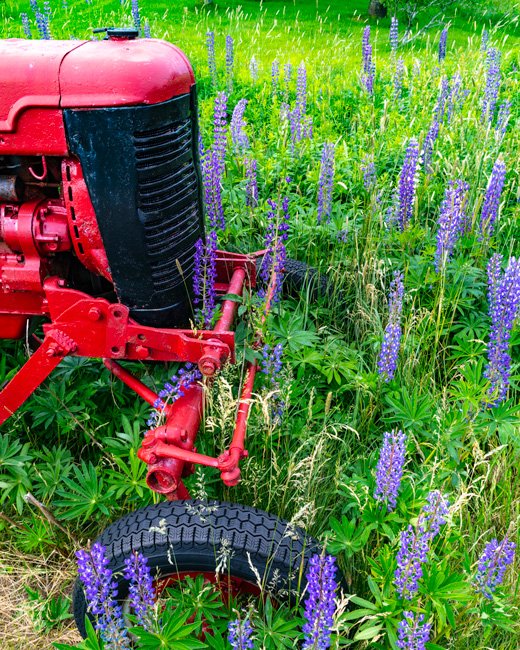 The Tractor - Newfoundland art print