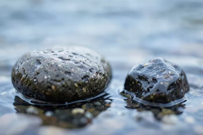 Wet Pebbles