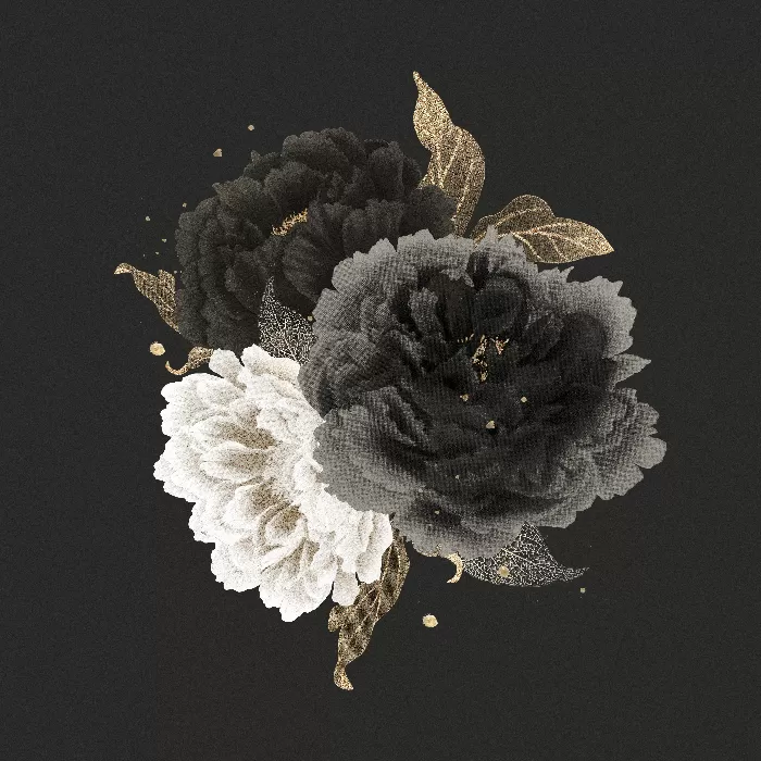 Aesthetic peony flower