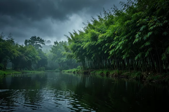 Misty Bamboo