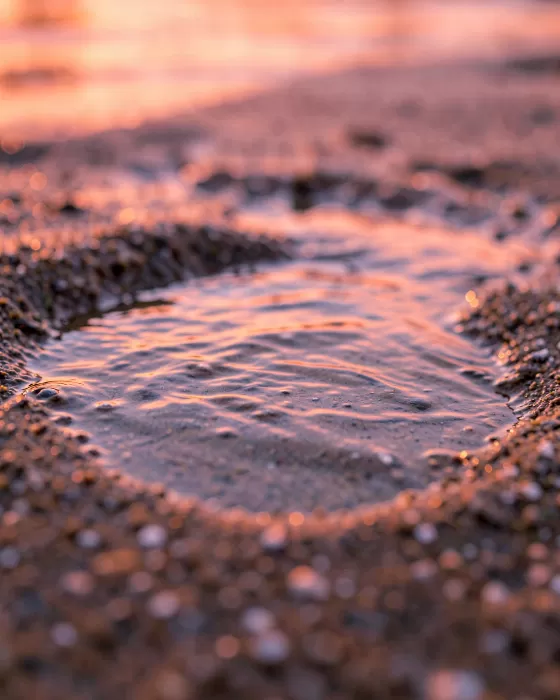 Copper Ripple