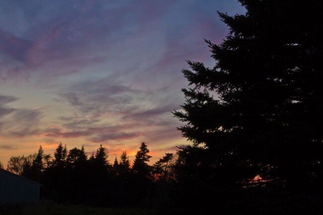 Summer Nights - Newfoundland art print