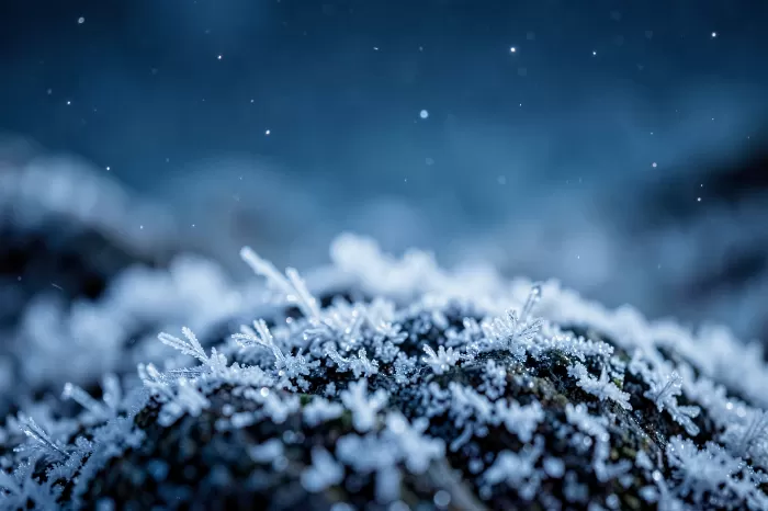Starlit Ice