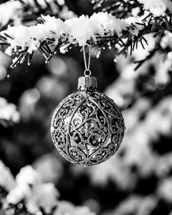 Winter Ornament