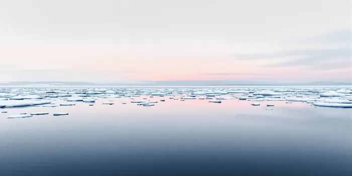 Arctic Midnight