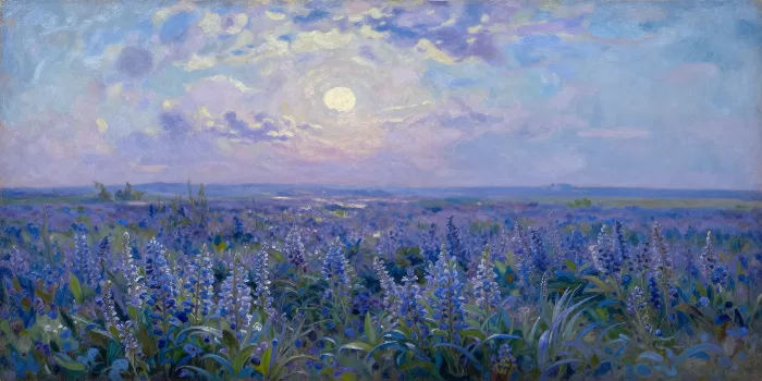Moonlit Wildflowers