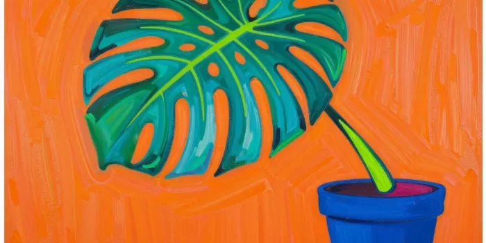 Monstera Splash
