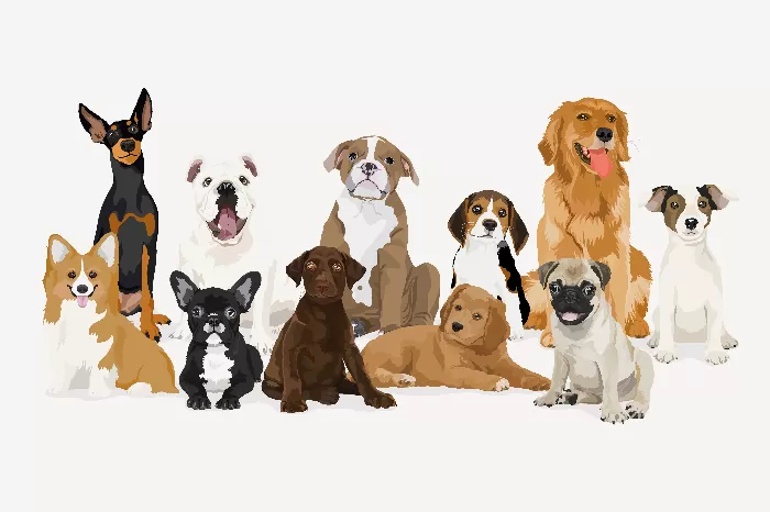 Dogs and puppies different breeds