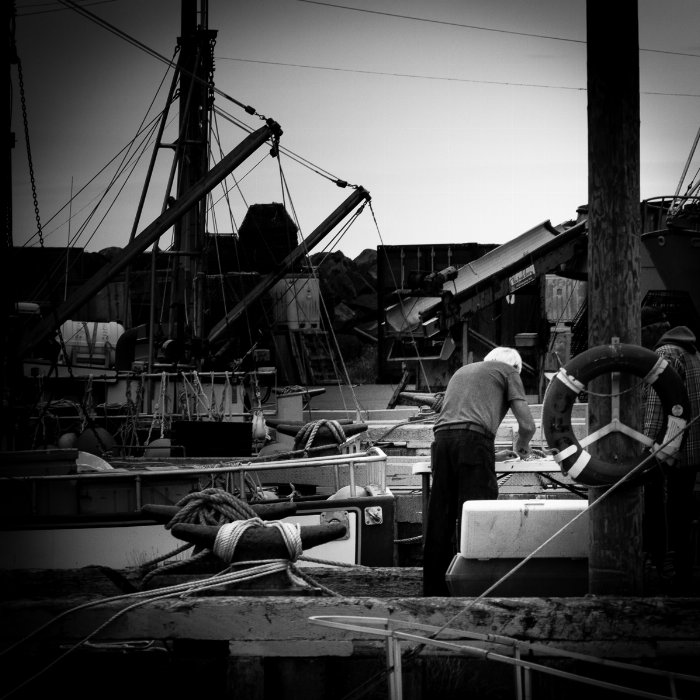 Splitting Fish - Newfoundland art print
