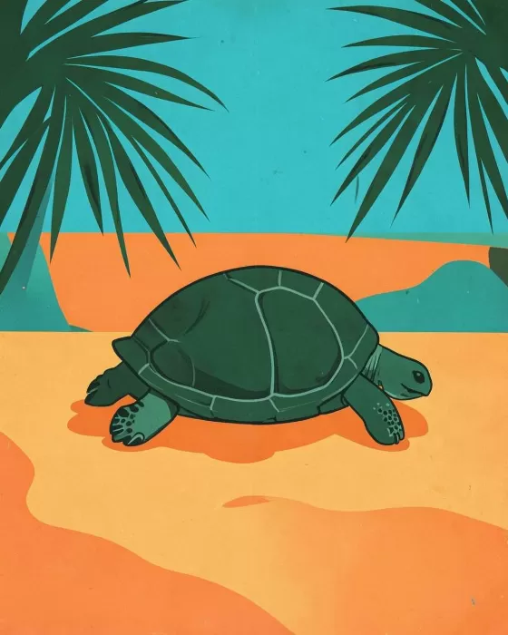 Turtle Trail