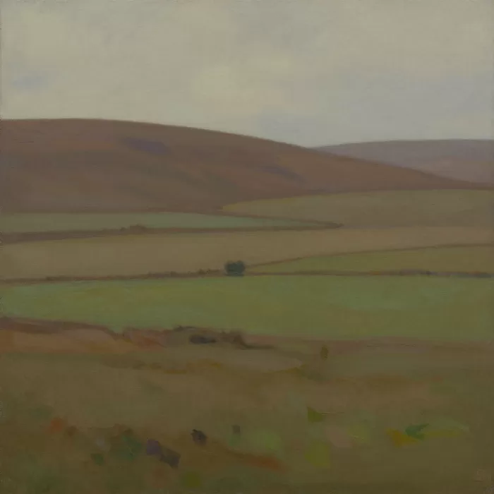 Muted Moor