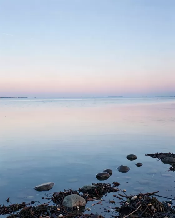 Estuary Twilight