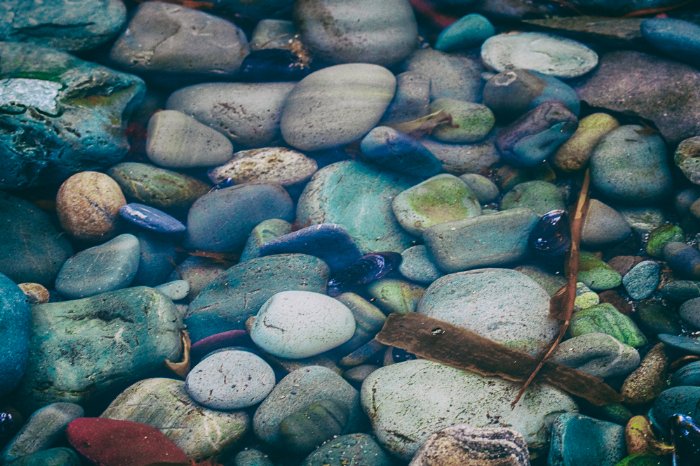 Mussel Beach - Newfoundland art print