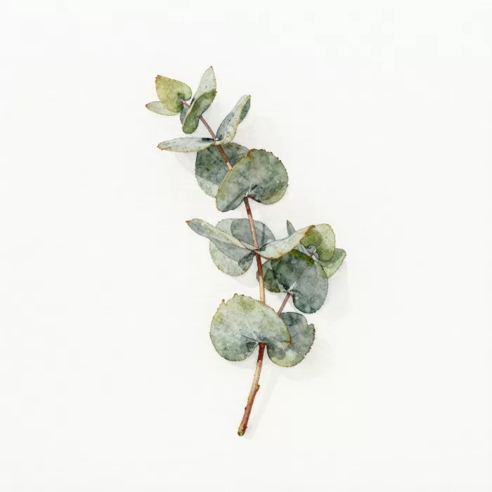 Silver Leaf