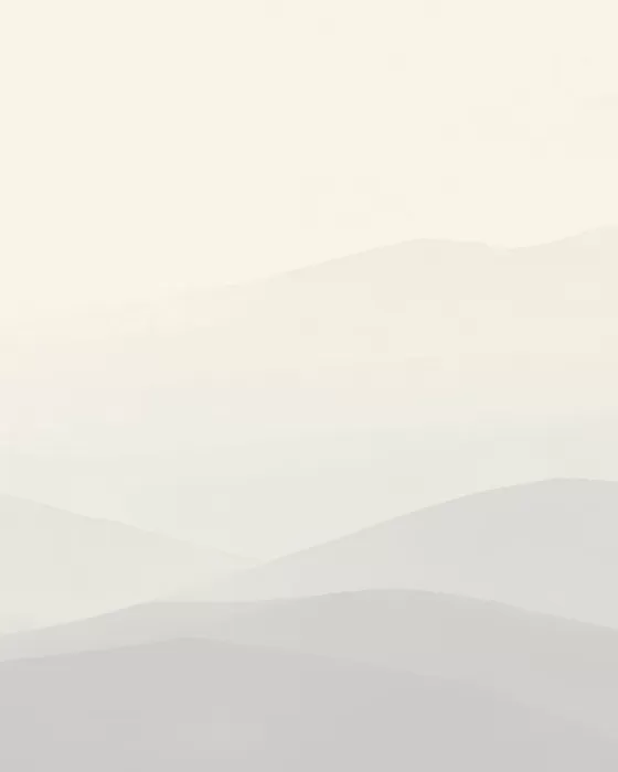 Quiet Rise