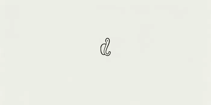 Coat Hook