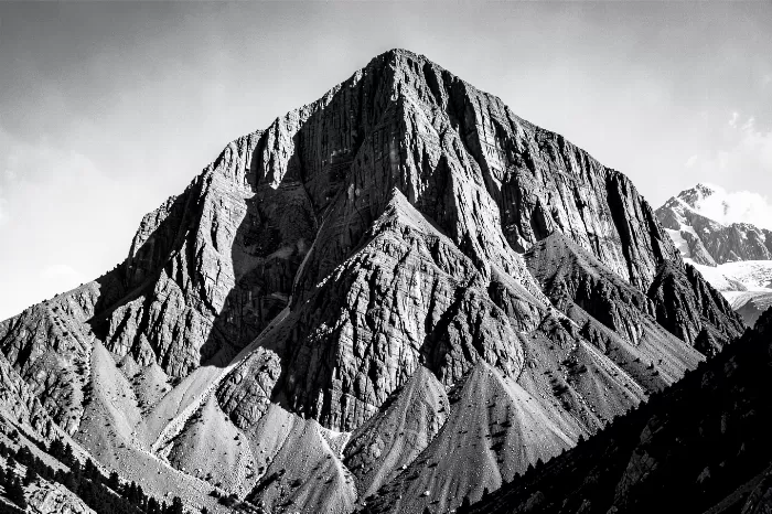 Robson Northface