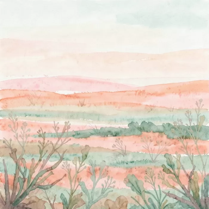 Coral Fields