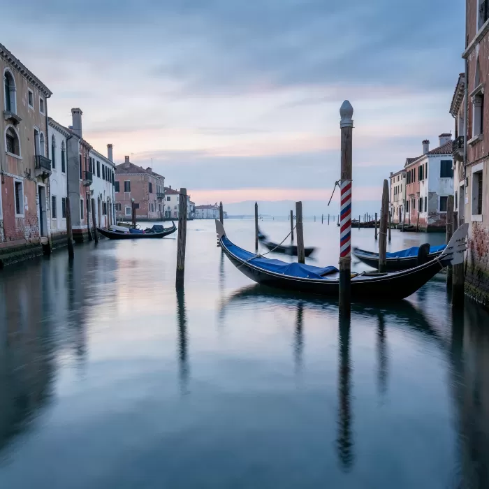 Venice Dawn