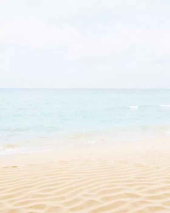 Sandy Shoreline