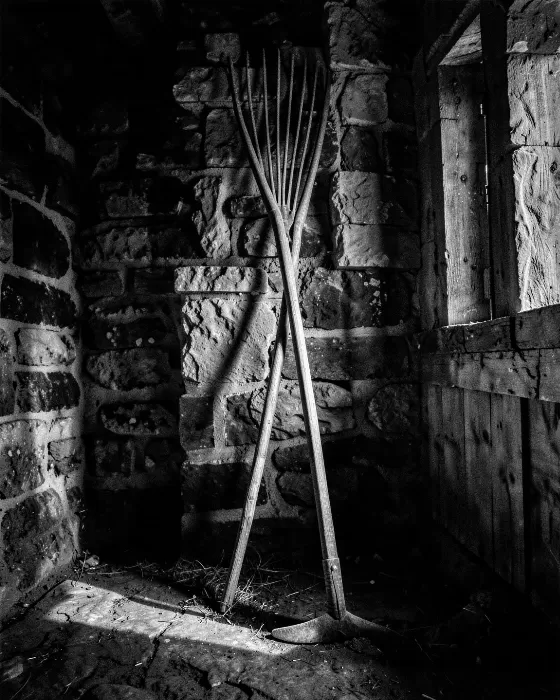 Barn Rake