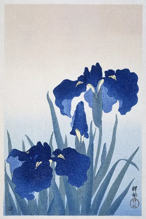 Iris flowers by Ohara Koson