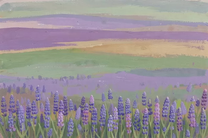 Lupine Fields