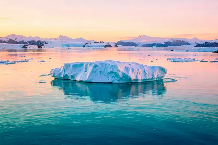 Golden Ice