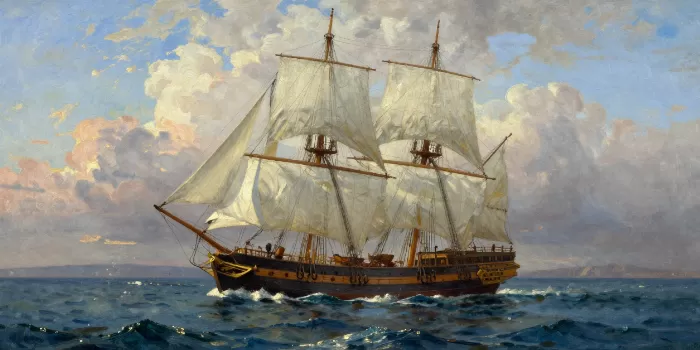 Gentle Voyager