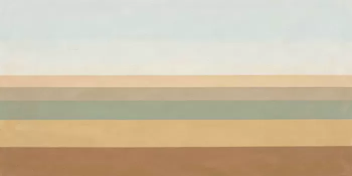 Calm Fields