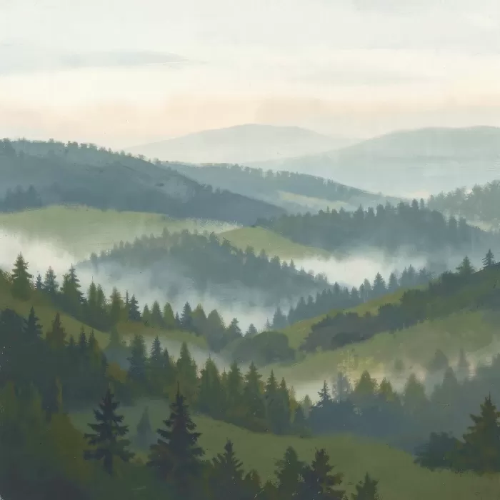 Foggy Slopes