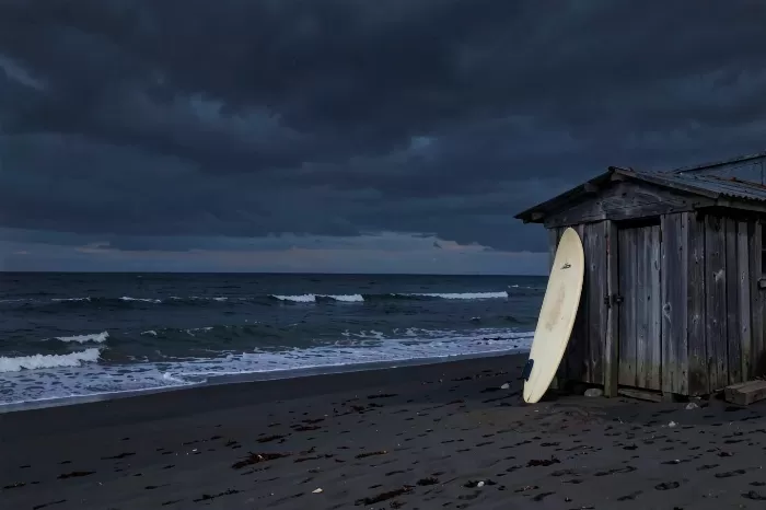 Windswept Shore