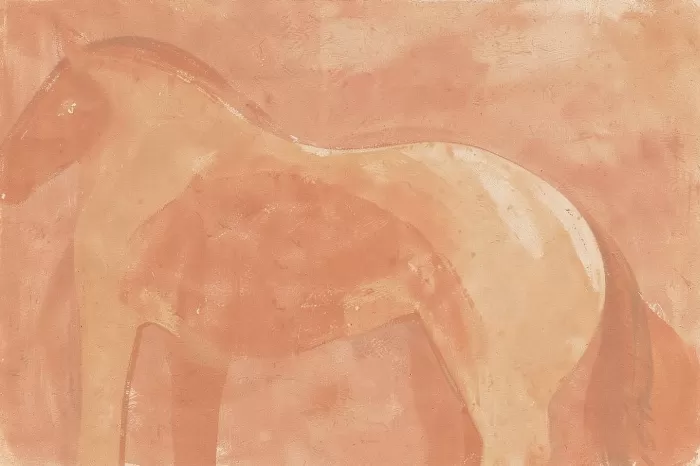 Terra Equine