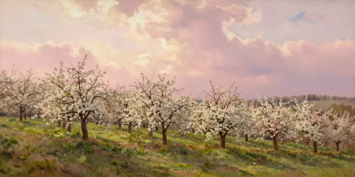 Blossom Hillside