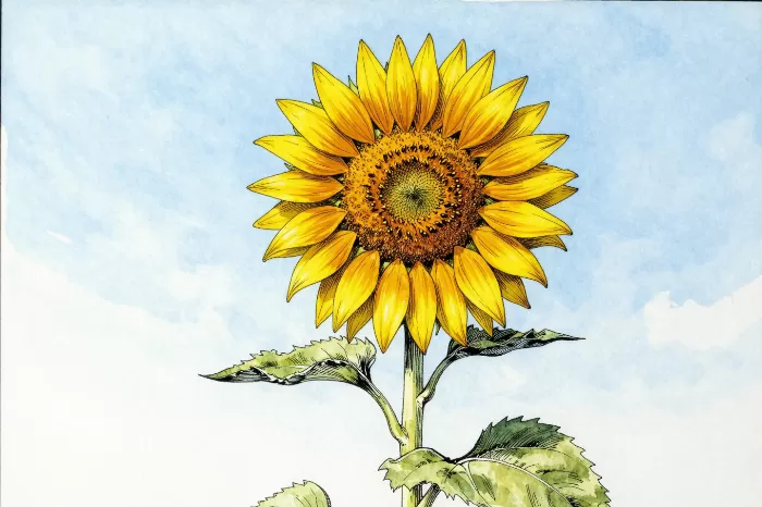 Skyward Bloom