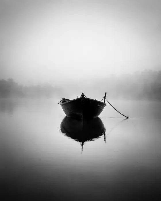 Fog Boat