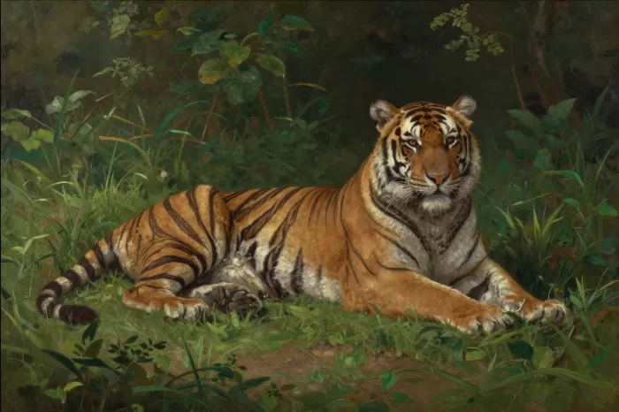 Sunlit Tiger