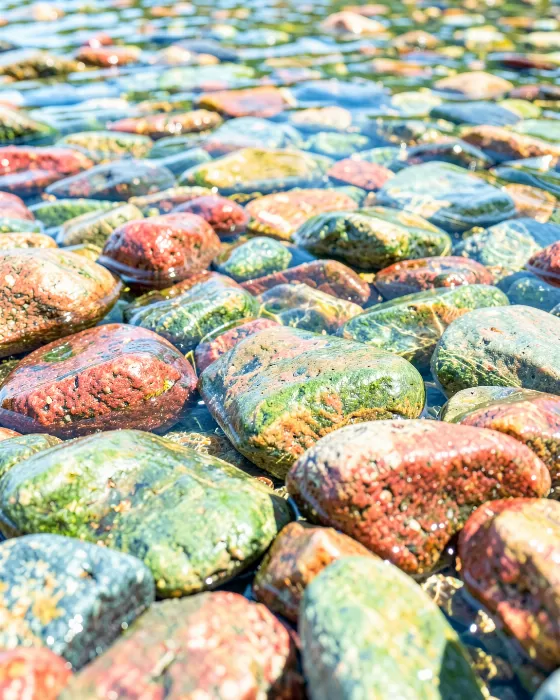 McDonald Stones