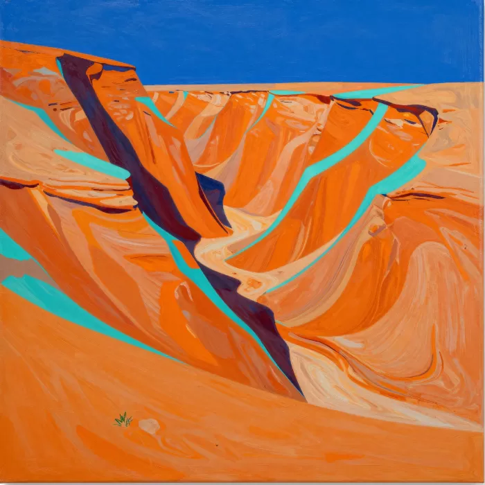 Canyon Edge