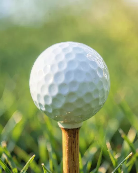 Golf Texture