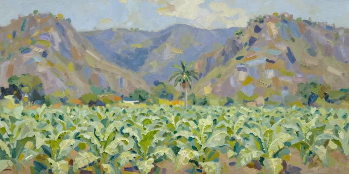 Valley Palm