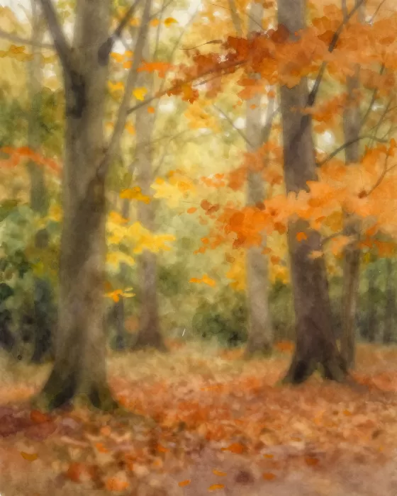 Burnt Woods