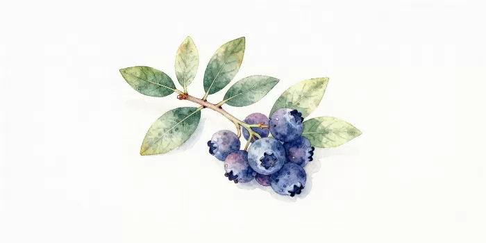 Wild Berries