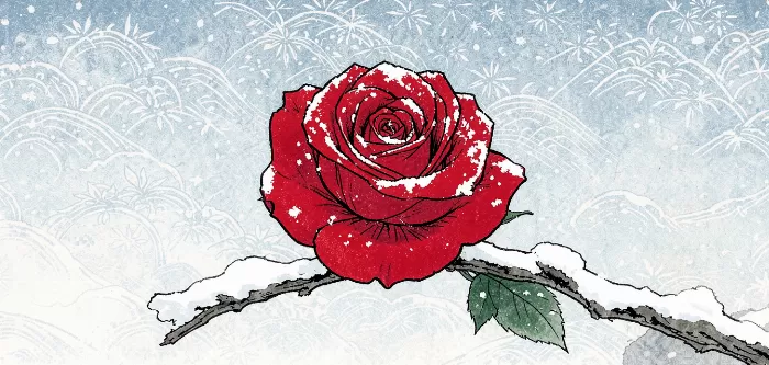 Snow Rose