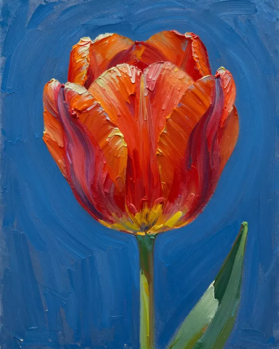 Crimson Tulip