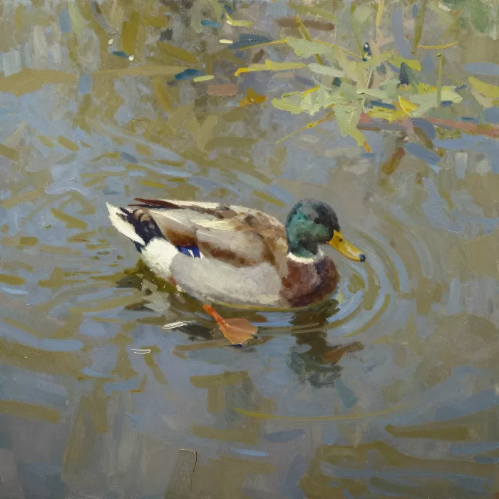 Pond Drifter