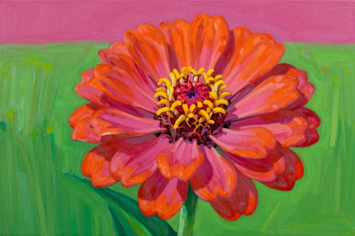 Vivid Petals