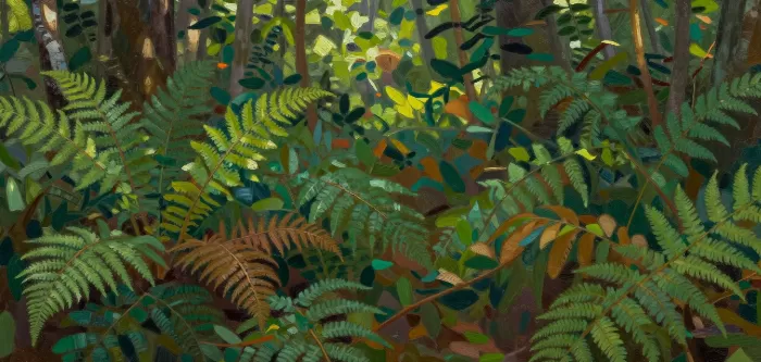 Emerald Ferns