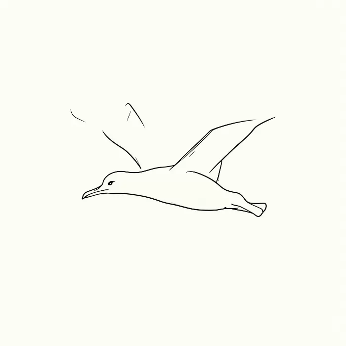 Seagull Flight