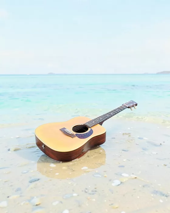 Shore Strings